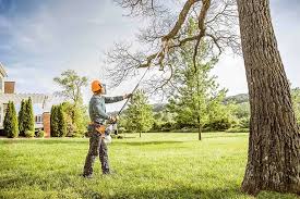 Best Tree Risk Assessment  in Richgrove, CA